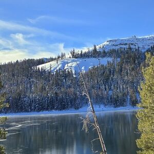 Meet your Posher, Morgan